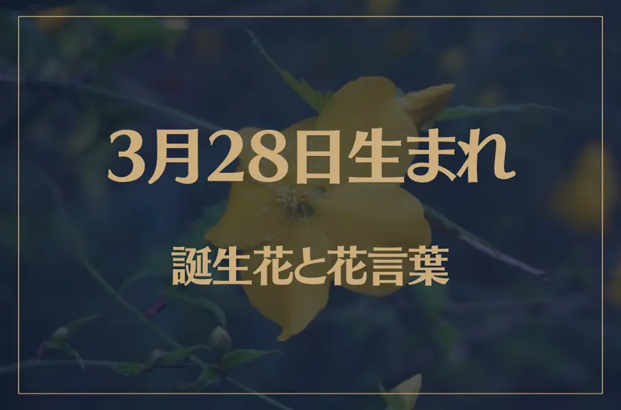 3月28日の誕生花と花言葉がコレ！性格や恋愛・仕事などの誕生日占いもご紹介！