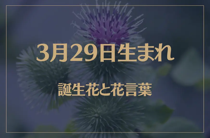 3月29日の誕生花と花言葉がコレ！性格や恋愛・仕事などの誕生日占いもご紹介！