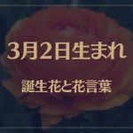 3月2日の誕生花と花言葉がコレ！性格や恋愛・仕事などの誕生日占いもご紹介！