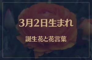 3月2日の誕生花と花言葉がコレ！性格や恋愛・仕事などの誕生日占いもご紹介！