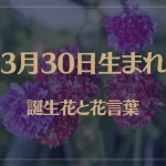 3月30日の誕生花と花言葉がコレ！性格や恋愛・仕事などの誕生日占いもご紹介！
