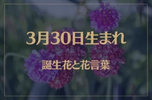 3月30日の誕生花と花言葉がコレ!性格や恋愛・仕事などの誕生日占いもご紹介!