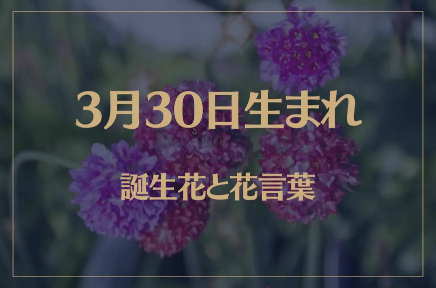 3月30日の誕生花と花言葉がコレ！性格や恋愛・仕事などの誕生日占いもご紹介！