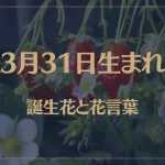 3月31日の誕生花と花言葉がコレ！性格や恋愛・仕事などの誕生日占いもご紹介！