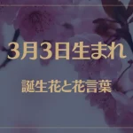 3月3日の誕生花と花言葉がコレ！性格や恋愛・仕事などの誕生日占いもご紹介！