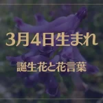 3月4日の誕生花と花言葉がコレ！性格や恋愛・仕事などの誕生日占いもご紹介！