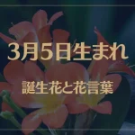3月5日の誕生花と花言葉がコレ！性格や恋愛・仕事などの誕生日占いもご紹介！