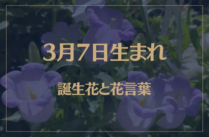 3月7日の誕生花と花言葉がコレ！性格や恋愛・仕事などの誕生日占いもご紹介！