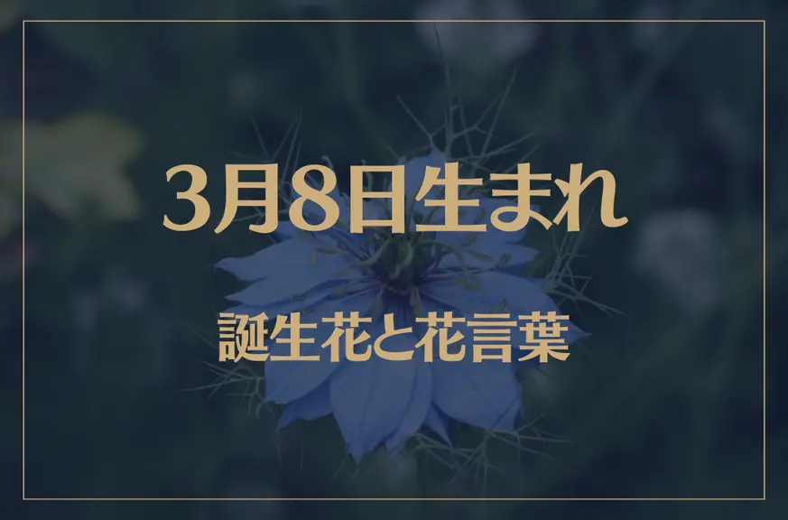 3月8日の誕生花と花言葉がコレ！性格や恋愛・仕事などの誕生日占いもご紹介！