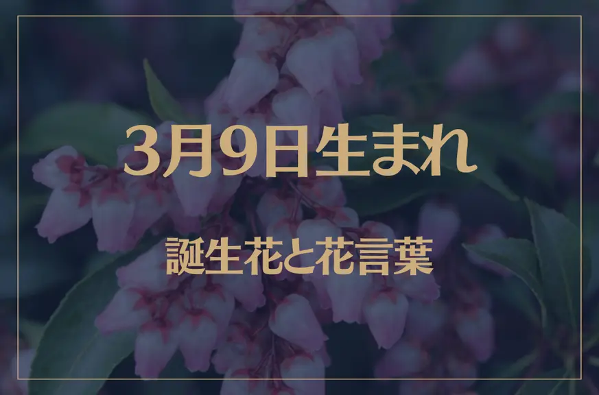 3月9日の誕生花と花言葉がコレ！性格や恋愛・仕事などの誕生日占いもご紹介！