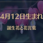 4月12日の誕生花と花言葉がコレ！性格や恋愛・仕事などの誕生日占いもご紹介！