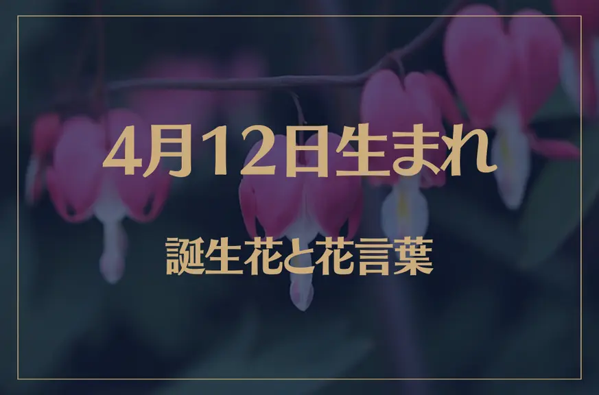 4月12日の誕生花と花言葉がコレ！性格や恋愛・仕事などの誕生日占いもご紹介！