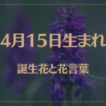 4月15日の誕生花と花言葉がコレ！性格や恋愛・仕事などの誕生日占いもご紹介！