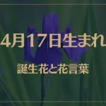 4月17日の誕生花と花言葉がコレ！性格や恋愛・仕事などの誕生日占いもご紹介！
