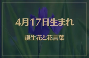 4月17日の誕生花と花言葉がコレ！性格や恋愛・仕事などの誕生日占いもご紹介！