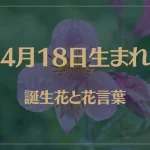 4月18日の誕生花と花言葉がコレ！性格や恋愛・仕事などの誕生日占いもご紹介！