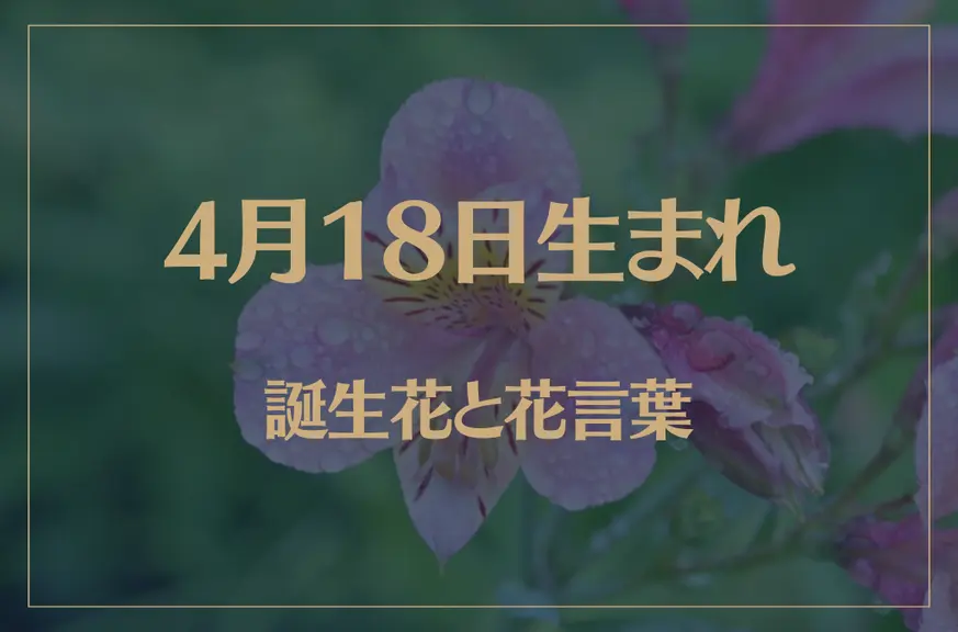 4月18日の誕生花と花言葉がコレ！性格や恋愛・仕事などの誕生日占いもご紹介！