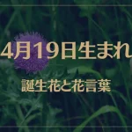 4月19日の誕生花と花言葉がコレ！性格や恋愛・仕事などの誕生日占いもご紹介！