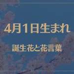 4月1日の誕生花と花言葉がコレ！性格や恋愛・仕事などの誕生日占いもご紹介！