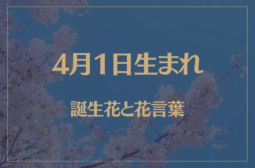 4月1日の誕生花と花言葉がコレ！性格や恋愛・仕事などの誕生日占いもご紹介！