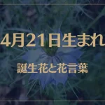 4月21日の誕生花と花言葉がコレ！性格や恋愛・仕事などの誕生日占いもご紹介！