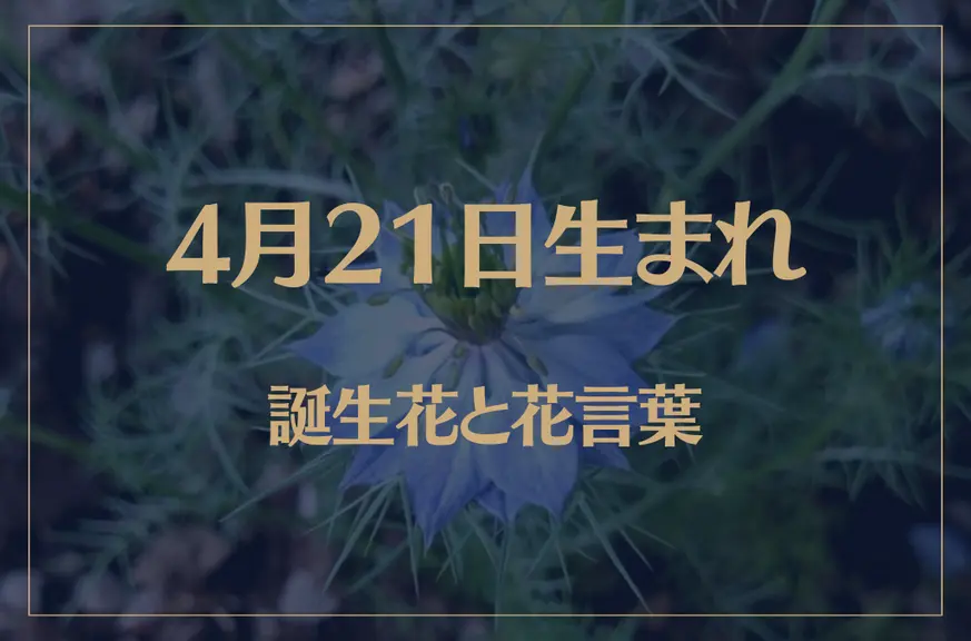 4月21日の誕生花と花言葉がコレ！性格や恋愛・仕事などの誕生日占いもご紹介！