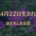 4月22日の誕生花と花言葉がコレ！性格や恋愛・仕事などの誕生日占いもご紹介！