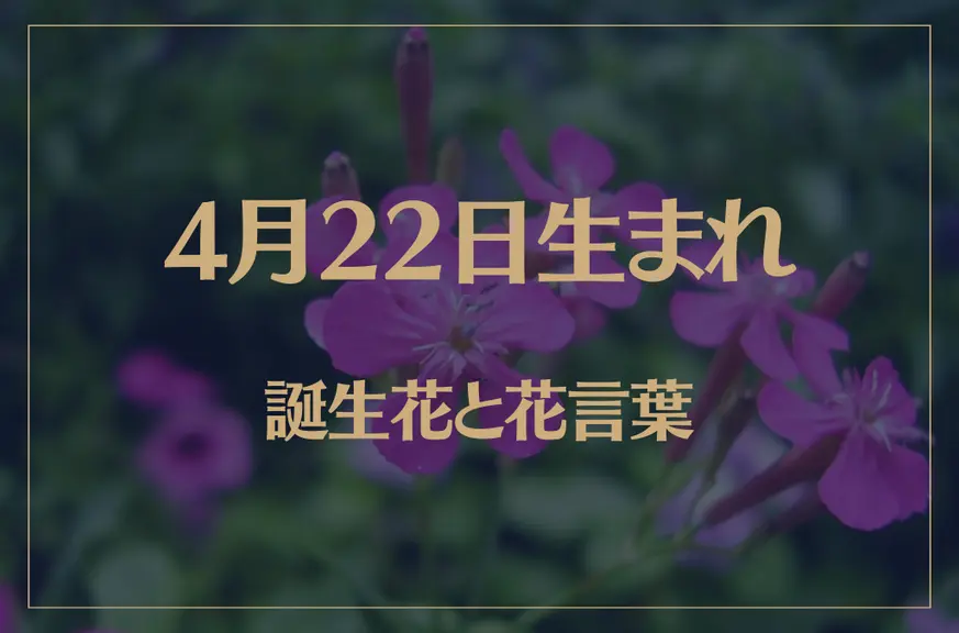 4月22日の誕生花と花言葉がコレ！性格や恋愛・仕事などの誕生日占いもご紹介！