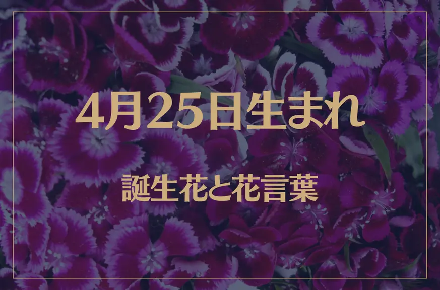 4月25日の誕生花と花言葉がコレ！性格や恋愛・仕事などの誕生日占いもご紹介！