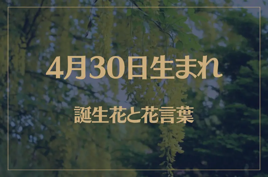 4月30日の誕生花と花言葉がコレ！性格や恋愛・仕事などの誕生日占いもご紹介！