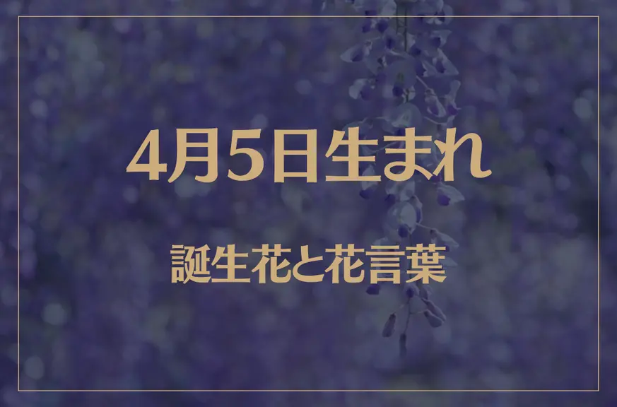 4月5日の誕生花と花言葉がコレ！性格や恋愛・仕事などの誕生日占いもご紹介！