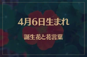 4月6日の誕生花と花言葉がコレ！性格や恋愛・仕事などの誕生日占いもご紹介！