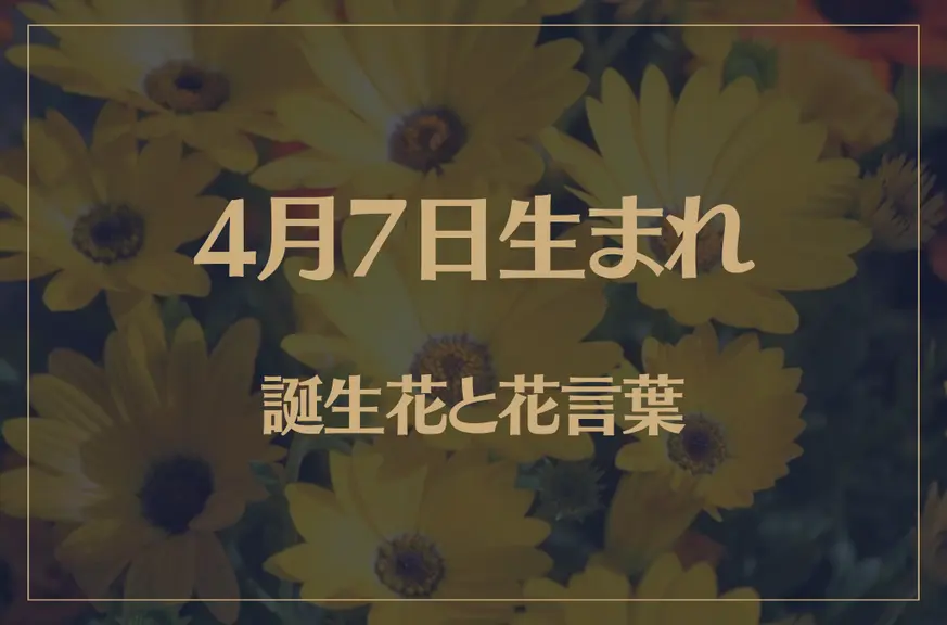 4月7日の誕生花と花言葉がコレ！性格や恋愛・仕事などの誕生日占いもご紹介！