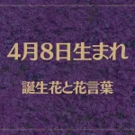 4月8日の誕生花と花言葉がコレ！性格や恋愛・仕事などの誕生日占いもご紹介！