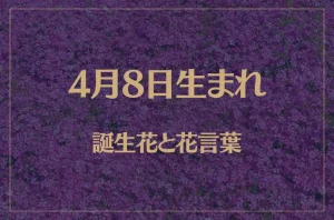 4月8日の誕生花と花言葉がコレ!性格や恋愛・仕事などの誕生日占いもご紹介!
