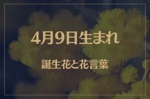 4月9日の誕生花と花言葉がコレ！性格や恋愛・仕事などの誕生日占いもご紹介！