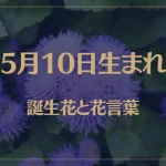 5月10日の誕生花と花言葉がコレ！性格や恋愛・仕事などの誕生日占いもご紹介！