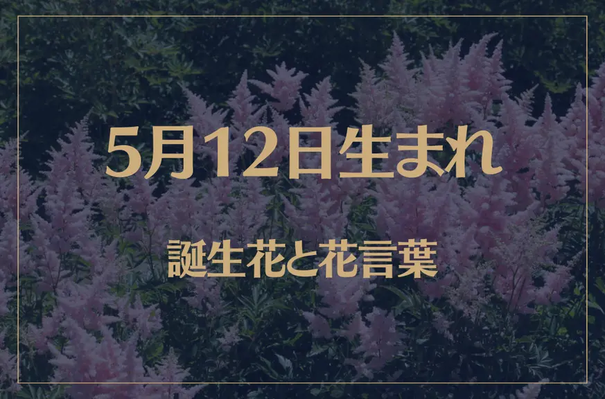 5月12日の誕生花と花言葉がコレ！性格や恋愛・仕事などの誕生日占いもご紹介！