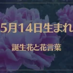 5月14日の誕生花と花言葉がコレ！性格や恋愛・仕事などの誕生日占いもご紹介！