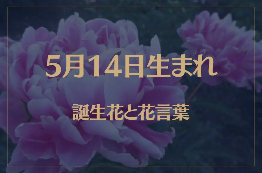 5月14日の誕生花と花言葉がコレ！性格や恋愛・仕事などの誕生日占いもご紹介！