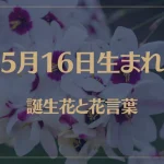 5月16日の誕生花と花言葉がコレ！性格や恋愛・仕事などの誕生日占いもご紹介！