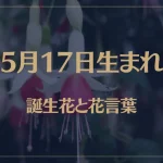5月17日の誕生花と花言葉がコレ！性格や恋愛・仕事などの誕生日占いもご紹介！