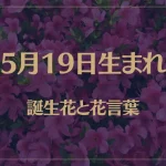 5月19日の誕生花と花言葉がコレ！性格や恋愛・仕事などの誕生日占いもご紹介！