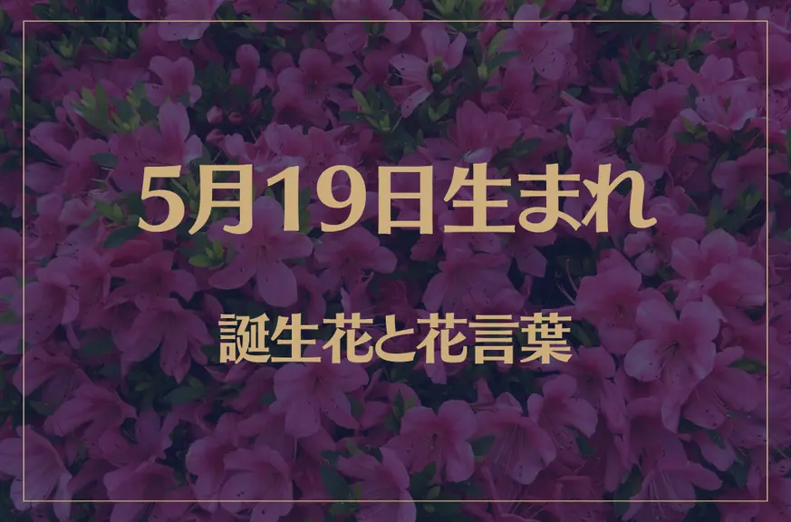 5月19日の誕生花と花言葉がコレ！性格や恋愛・仕事などの誕生日占いもご紹介！