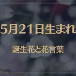 5月21日の誕生花と花言葉がコレ！性格や恋愛・仕事などの誕生日占いもご紹介！