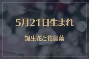 5月21日の誕生花と花言葉がコレ!性格や恋愛・仕事などの誕生日占いもご紹介!