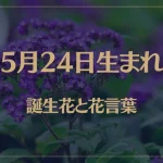 5月24日の誕生花と花言葉がコレ！性格や恋愛・仕事などの誕生日占いもご紹介！