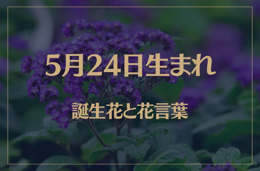 5月24日の誕生花と花言葉がコレ！性格や恋愛・仕事などの誕生日占いもご紹介！