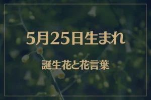 5月25日の誕生花と花言葉がコレ！性格や恋愛・仕事などの誕生日占いもご紹介！