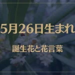 5月26日の誕生花と花言葉がコレ！性格や恋愛・仕事などの誕生日占いもご紹介！
